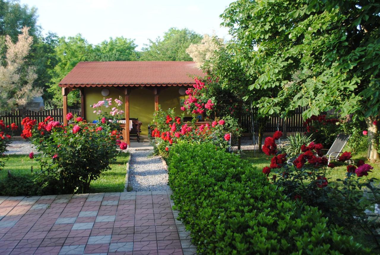 Vila Delta Travel - Mila 23 Mila Douazeci si Trei Bagian luar foto