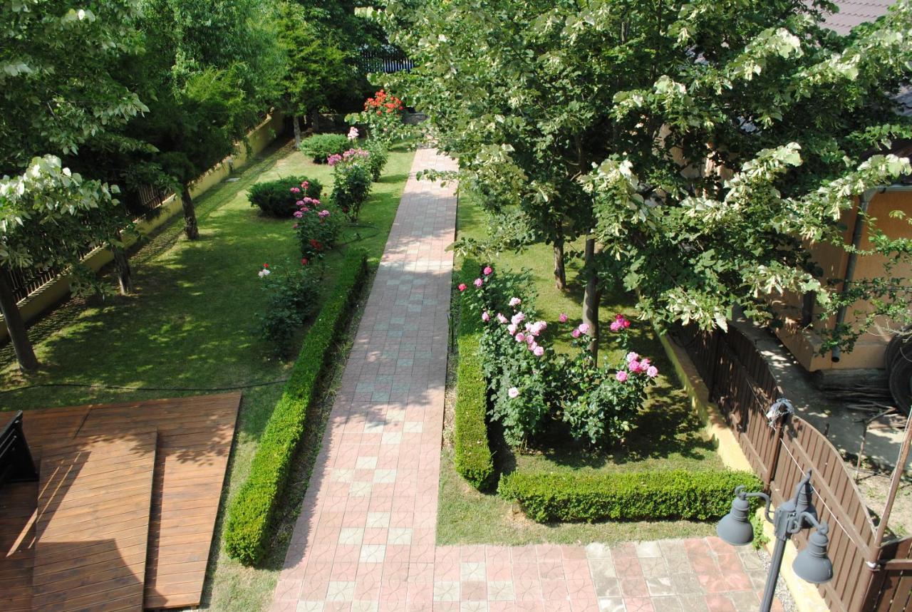 Vila Delta Travel - Mila 23 Mila Douazeci si Trei Bagian luar foto